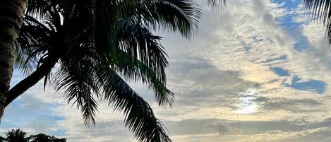 Nær stranden og strandhåndklær
