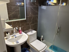 Une salle de bain avec un lavabo, des toilettes et une douche.