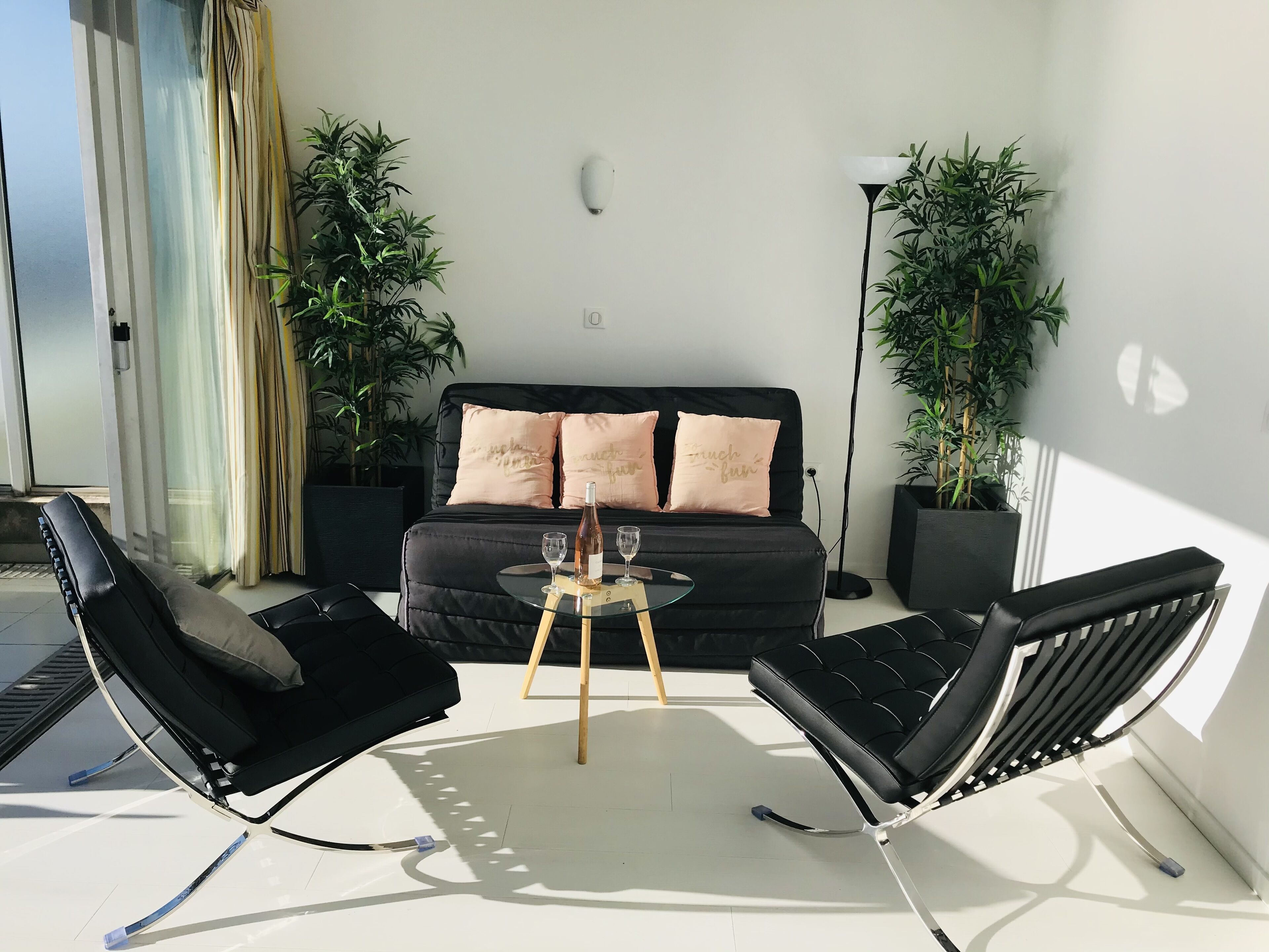 A modern living room with a black sofa, two black lounge chairs, a glass coffee table, and two potted plants.