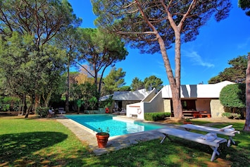 Garden, Outdoor, Pool, Summer