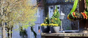 Holiday apartment Amöneburg for 1 - 4 persons with 3 bedrooms - Holiday apartment