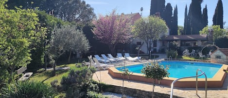 Un área de piscina con sillas de descanso, una piscina de piedra y follaje circundante.