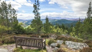 Een houten bank in een natuurlijke omgeving met uitzicht op verre bergen en heuvels.