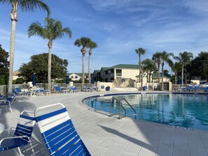 Pool - New Smyrna Beach Fabulous condominium getaway! (New Smyrna Beach)