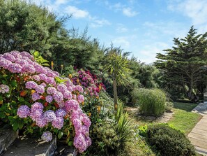 المنطقة المحيطة بالمنشأة