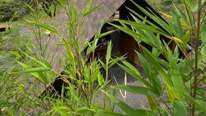 A rustic wooden cabin with a sloped roof, surrounded by lush greenery and a mountainous landscape in the background. - Cúspide Choachi Lodge (Choachí)