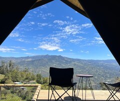 Tienda Confort | 1 dormitorio, ropa de cama de alta calidad, edredones de plumas