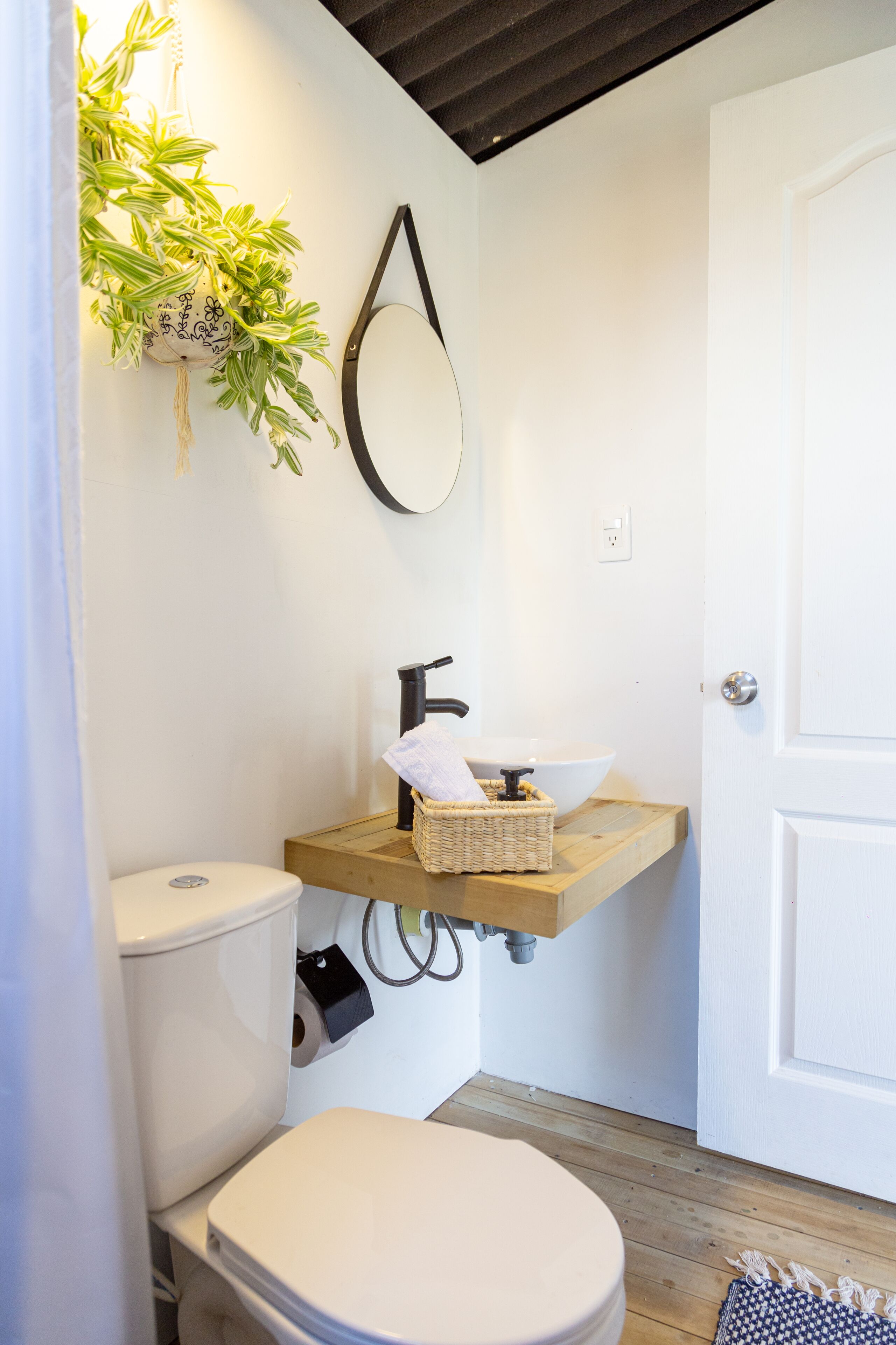 A compact bathroom with a toilet, a sink with a wooden shelf, a hanging plant, and a mirror on the wall.