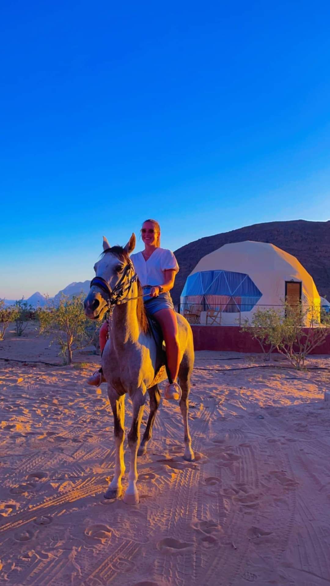 Passeios a cavalo