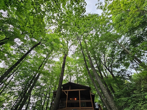 Spring Couples' Getaway: Hot Tub + 500Mbps