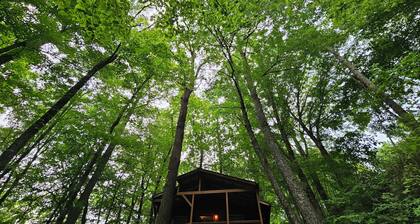 Romantic Summer Couples Escape: Private Hot Tub + EV Charger + 600Mbps WiFi