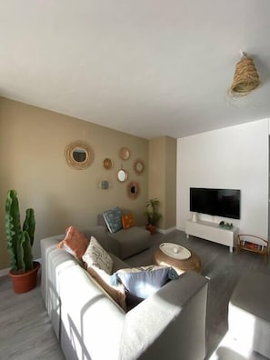 Televisie