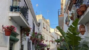 Una stretta strada acciottolata fiancheggiata da edifici bianchi con balconi ornati da piante e fiori in vaso.