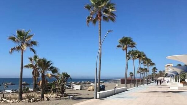 Un vialetto lastricato fiancheggiato da palme che conduce a una spiaggia con ombrelloni e un cielo azzurro intenso.