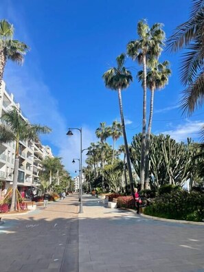 Property grounds - Wellingtonia Luxury Apartment Estepona (Estepona)