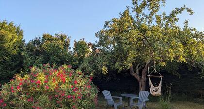 Studio Rénové Avec Jardin à Tours Nord à 3 min du Tram