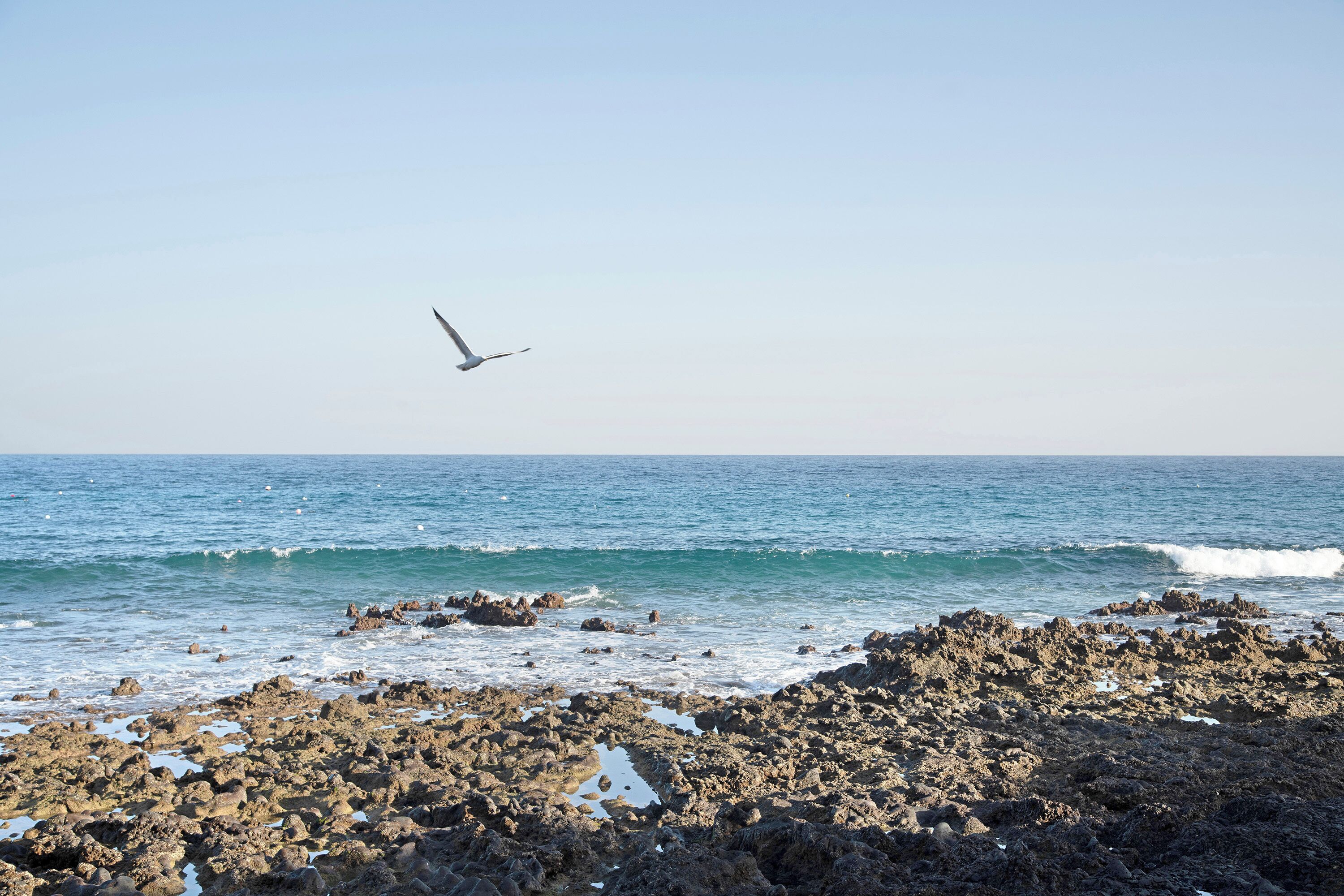 Accommodatie ligt op het strand