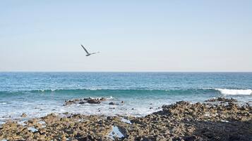 Accommodatie ligt op het strand