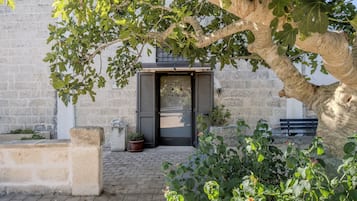 Detalle del exterior