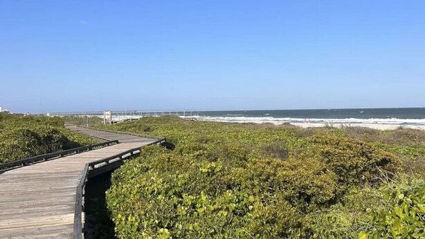 A wooden boardwalk leading to a beach with dense vegetation in the foreground and a clear blue sky. - Myrtle Beach Haven . Walkable to Boardwalk, Beach & Dining. Pet Friendly! (Myrtle Beach)
