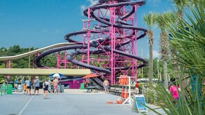 A roller coaster with multiple loops and a red structure, surrounded by palm trees and people.