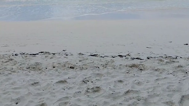 A beach with clear turquoise water and a sandy shore. - 
5 mins away from public beach and 3 min from grocery store! (The Forest)