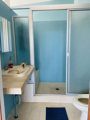 Shower, towels, toilet paper
