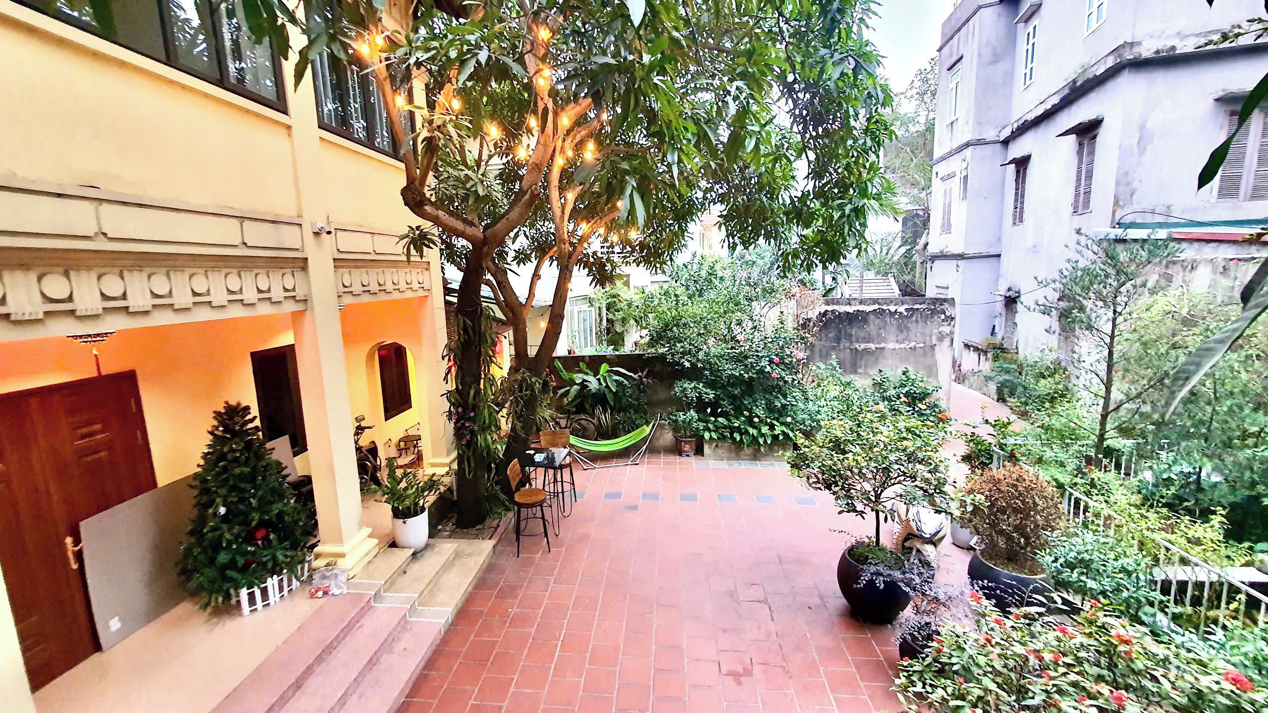 A courtyard with a brick pathway, potted plants, a hammock, and a Christmas tree.