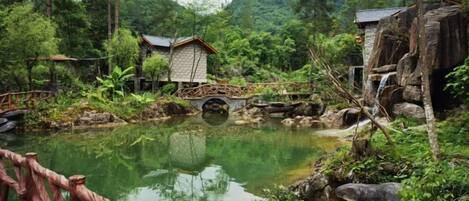 Áreas de la propiedad