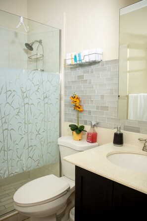 Shower, towels, soap, shampoo - Sophisticated, cozy 3rd floor apartment minutes from top Kingston attractions  (Kingston)