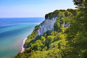 Imagen sin descripción, 2 de 38, botón