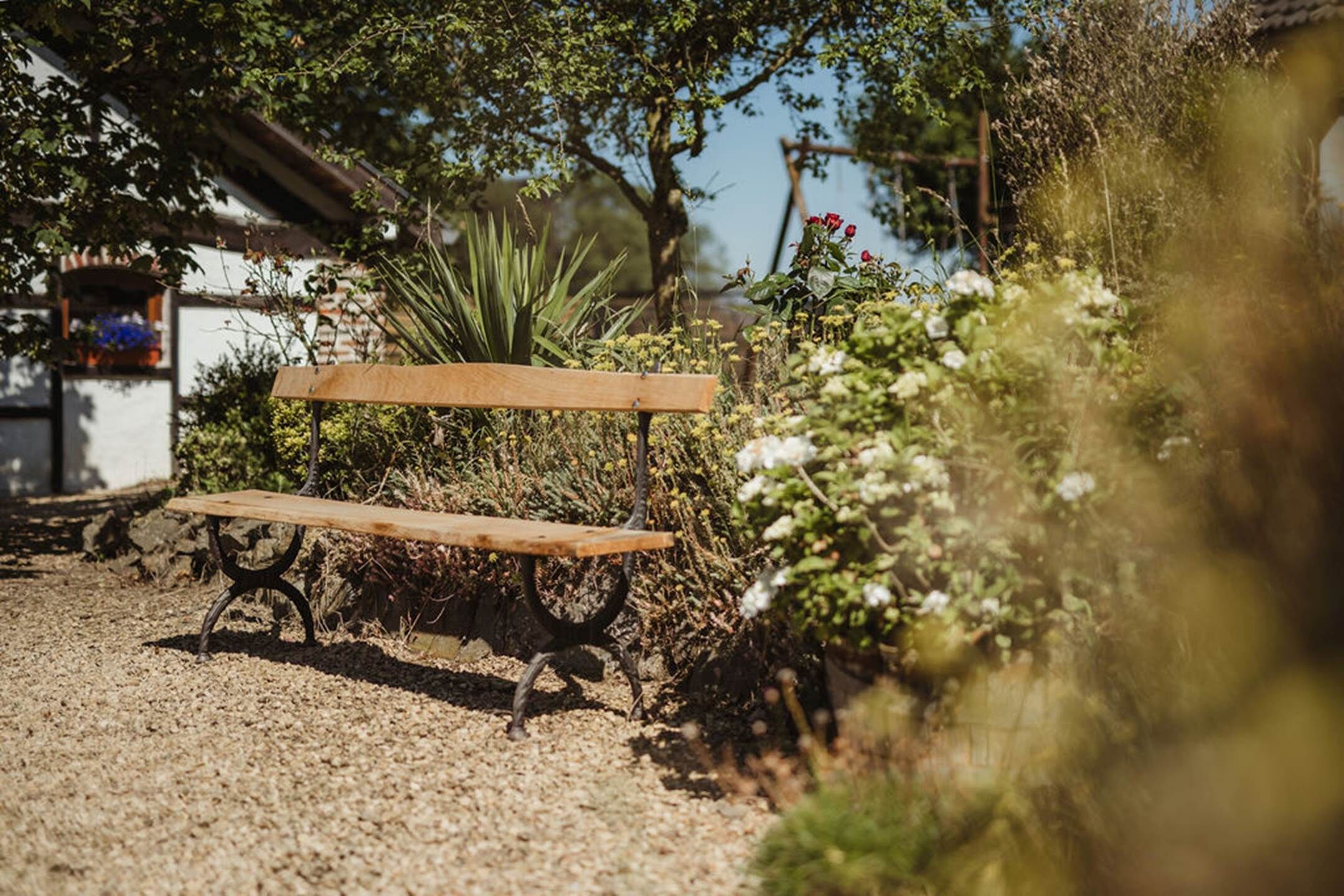 Un banc en bois dans un jardin, avec un bâtiment blanc en arrière-plan.