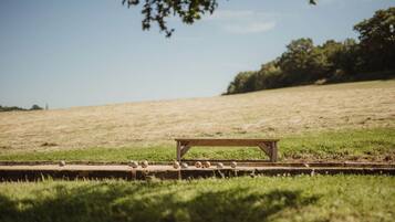 Een picknicktafel in een grasveld, met bomen op de achtergrond.