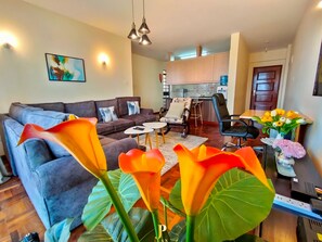 精緻公寓 | 起居區 | 24-吋智慧型電視，提供衛星頻道