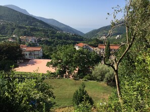 Miscellaneous - My Paradise (Polvica)