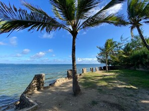 Ein Küstenpfad mit Palmen, einer Steinmauer und Blick aufs Meer.
