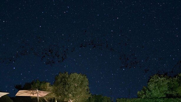 A swimming pool at night with a starry sky above.