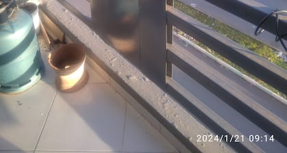 Un bel Appartement pas Loin de la Plage Avec 3 ch et un Salon Wifi Tv Iptv