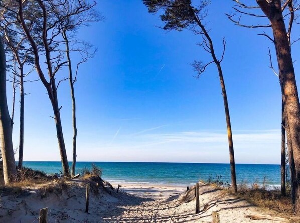 Plage à proximité