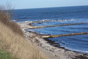 Playa en los alrededores y camastros 