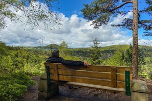 المنطقة المحيطة بالمنشأة