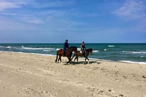 På stranden