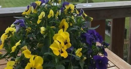 Ferienwohnung Seeblick pur