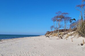 Tæt på stranden
