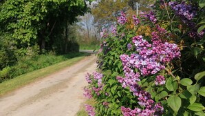 Oklassificerad bild, 4 av 18, knapp