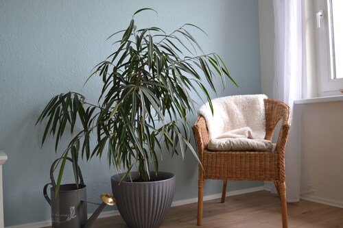 Stilvolle FeWo (4+1) im Seenparadies - Langes Haus Lychen