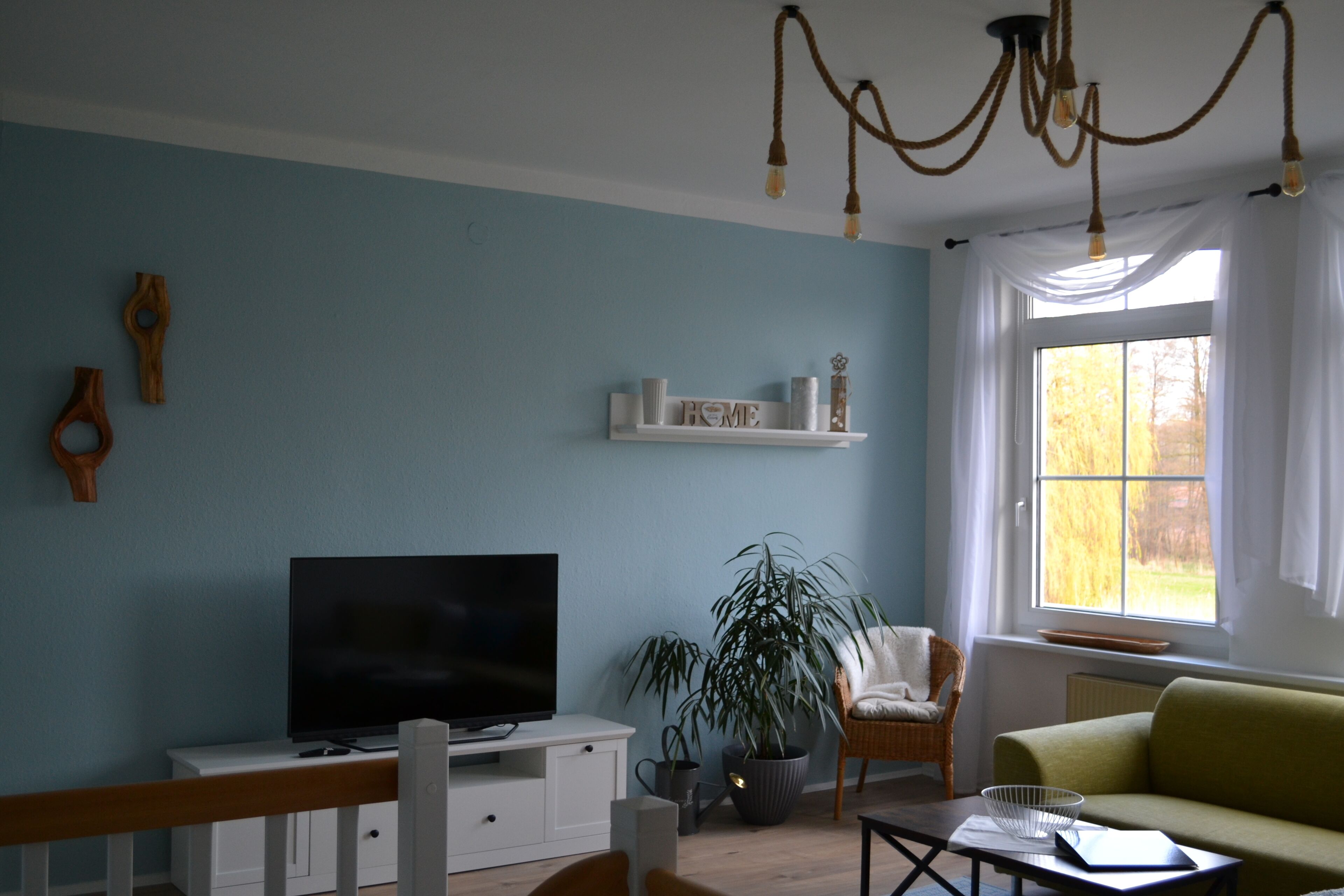 Un salon avec une télévision, une plante en pot, une bibliothèque et une fenêtre avec des rideaux.