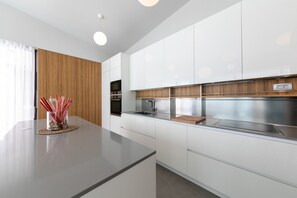 Fridge, microwave, oven, dishwasher - Villa Ruzic by Villas Guide (Kaštelir)