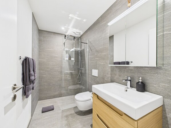 Douche, séchoir à cheveux, serviettes fournies, savon