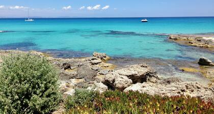 Campanitx Apt, Formentera - 2 Schlafzimmer, 1. Stock